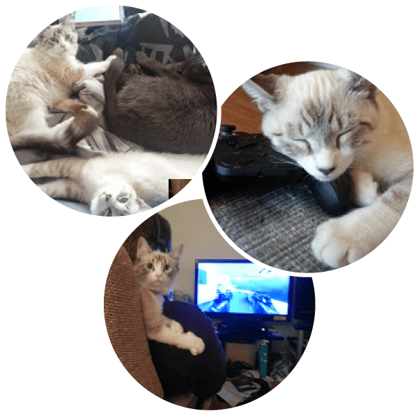 Artemis And Luna - Asian (600x600), Png Download