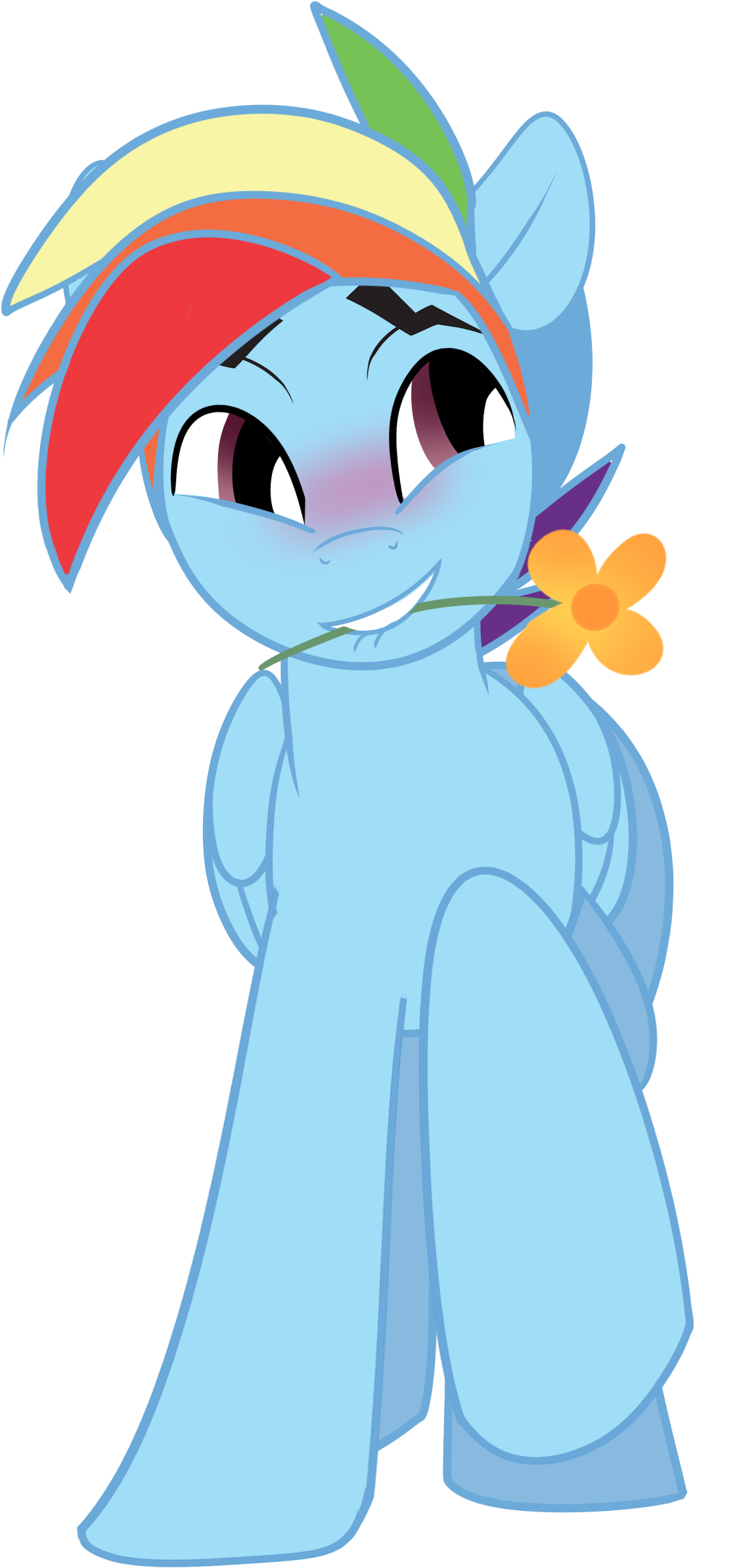 Rainbow Dash (1477x2513), Png Download