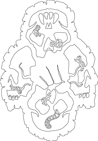 File - Nosferatu - Line Art (334x479), Png Download