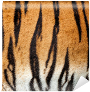 Real Live Tiger Fur Stripe Pattern Background Wall - Zazzle Tiger Fur Large Tote Bag (400x400), Png Download