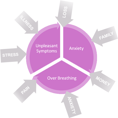 If There Is A Prolonged Stress Or May Be A Repeated - Learning (492x477), Png Download