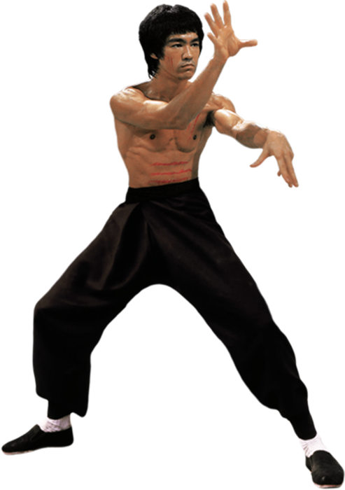 Kung Fu Dragon By Gdsfgs - Free Transparent Bruce Lee (493x700), Png Download