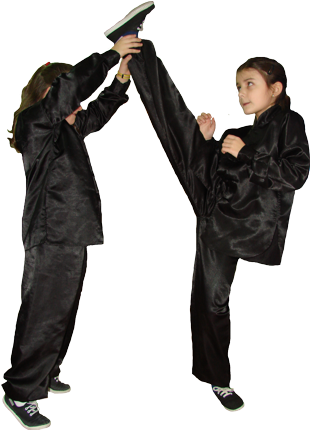 Kung Fu - T'ai Chi Ch'uan (327x438), Png Download