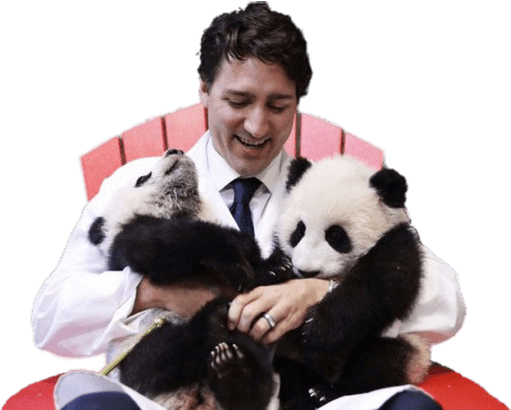Justin Troudeau Holding Two Pandas Png - Justin Trudeau Panda Gif (727x409), Png Download