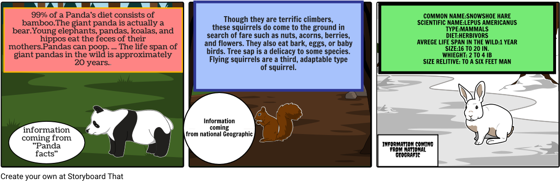 99% Of A Panda's Diet Consists Of Bamboo - Bamboo (1164x385), Png Download