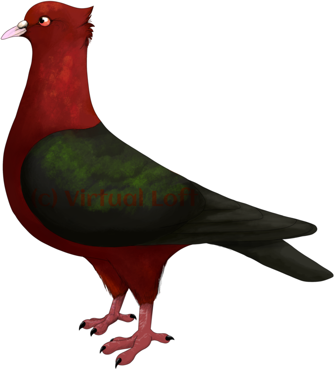 Clipart Stock Archangel Drawing Bird - T-shirt (894x894), Png Download