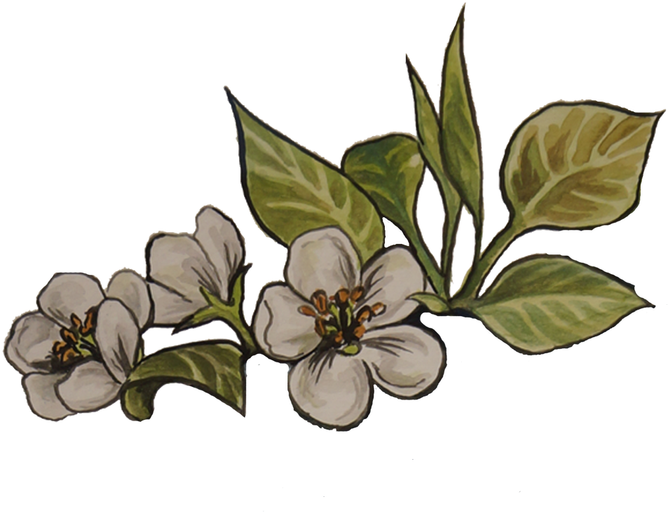 Indominus Rex & Raptor Hatchlings Are Sold Out For - Art (1030x800), Png Download