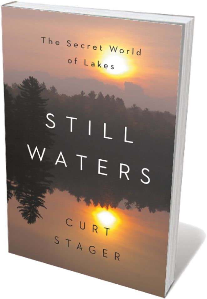 Book Jacket 'still Waters' - Book (800x1005), Png Download