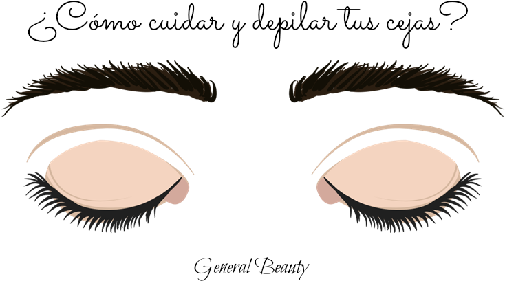 Cuidado Y Depilación De Cejas - Eyelash Extensions (800x533), Png Download