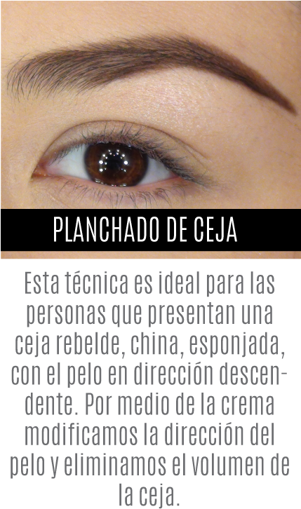 Diseño De Cejas - Design (428x773), Png Download