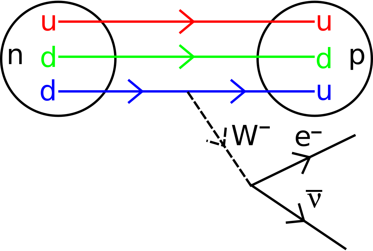 Física De Partículas - Diagrama De Feynman Decaimiento Beta (1200x810), Png Download