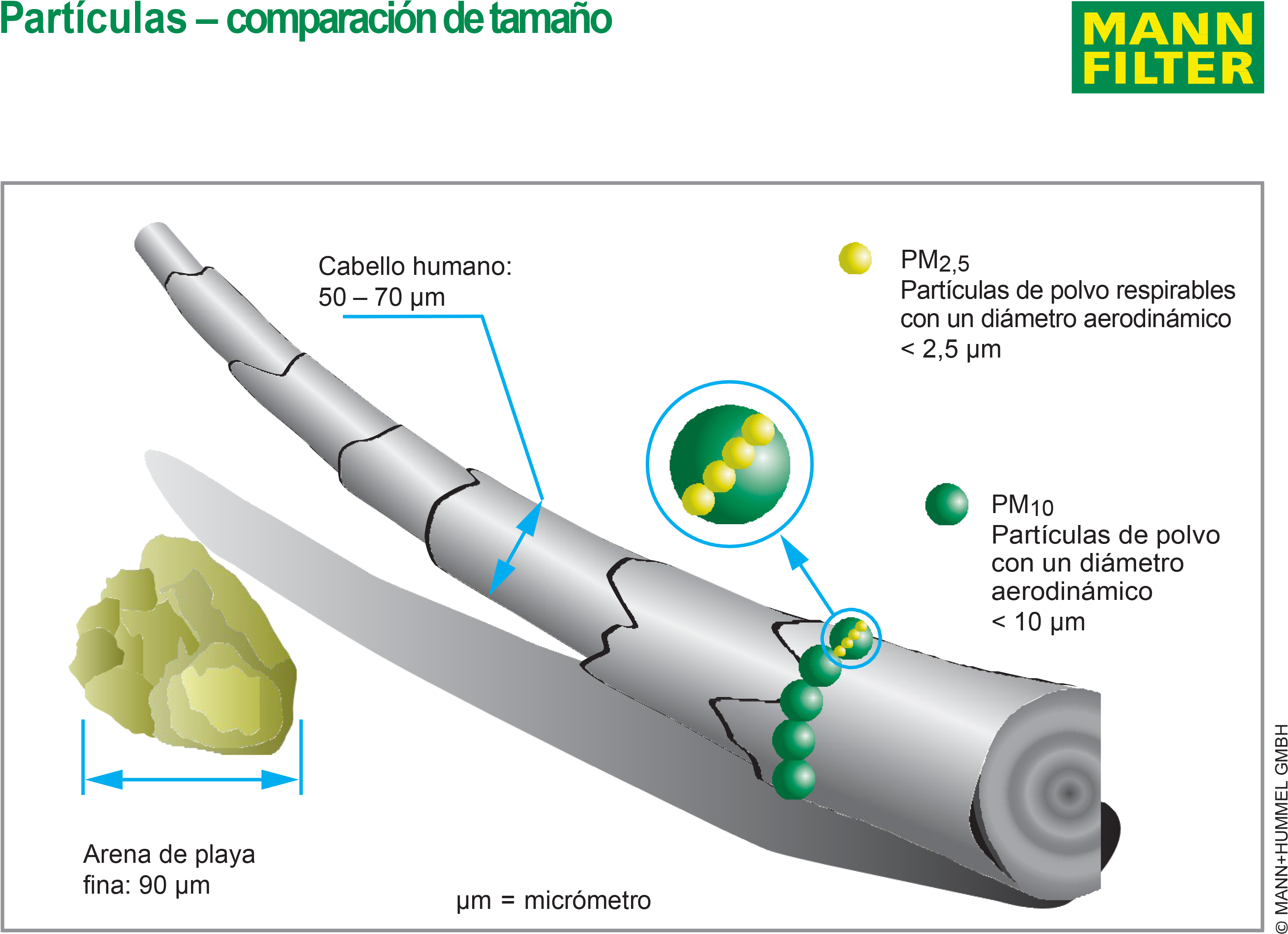 Mann Hummel Desarrolla Nuevos Filtros De Habitáculos - Mann Filter (3255x2330), Png Download