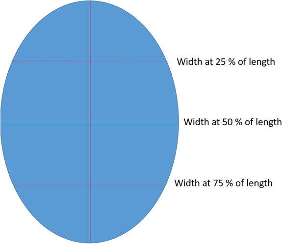 Picture1 - Circle (587x500), Png Download