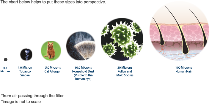 Reading Safari Magazine: Microbes [book] (712x370), Png Download