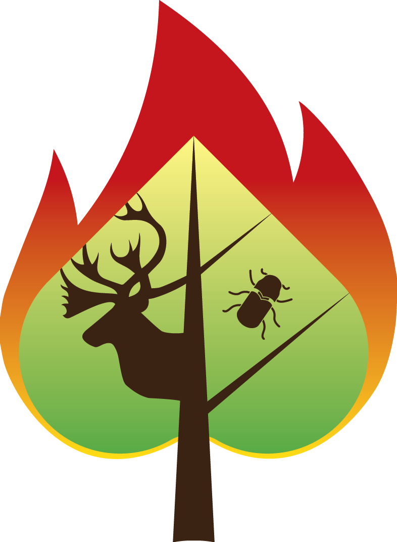 The Spades - Core Package - Ecology (786x1072), Png Download