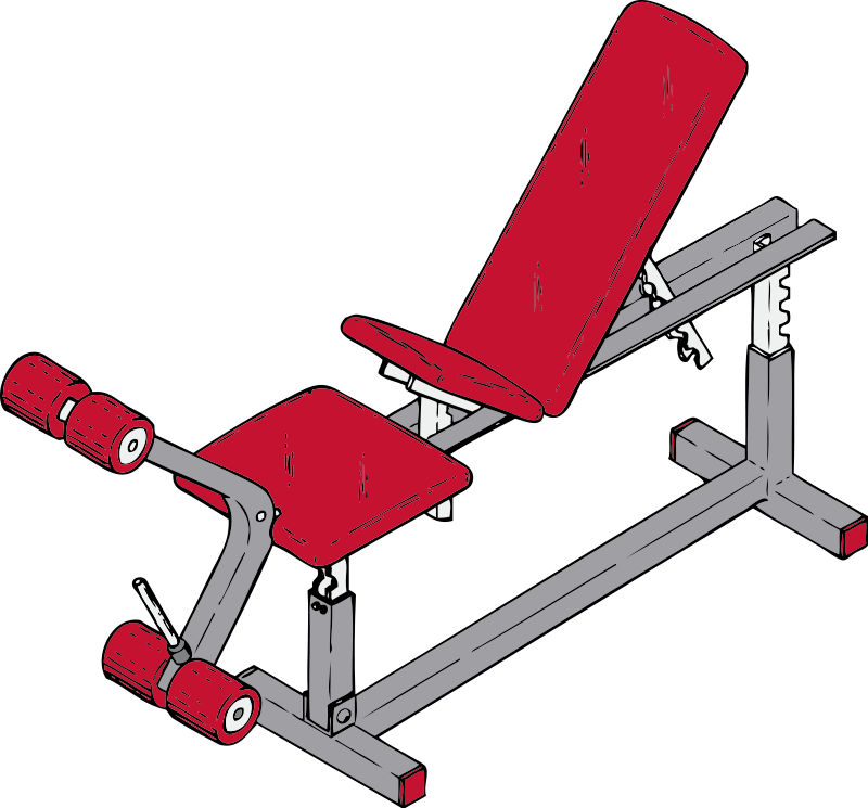 Bench Clipart Weight Lifting - Gym Equipment Clipart Png (600x558), Png Download