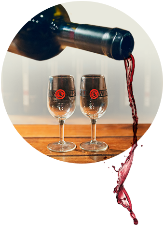 The Bar Z Tasting Room - Champagne Stemware (340x467), Png Download