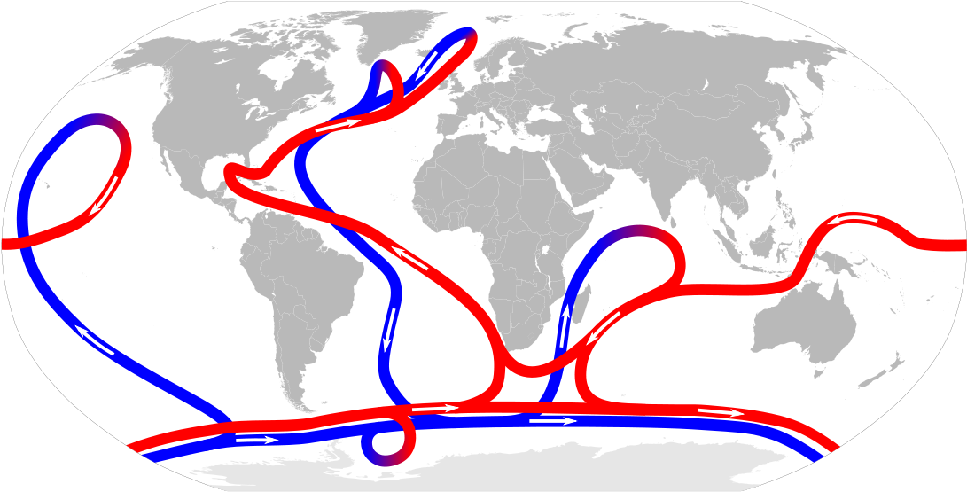 The Ocean Conveyor Transports Water And Heat Through - El Dorado Sim Cards (800x406), Png Download