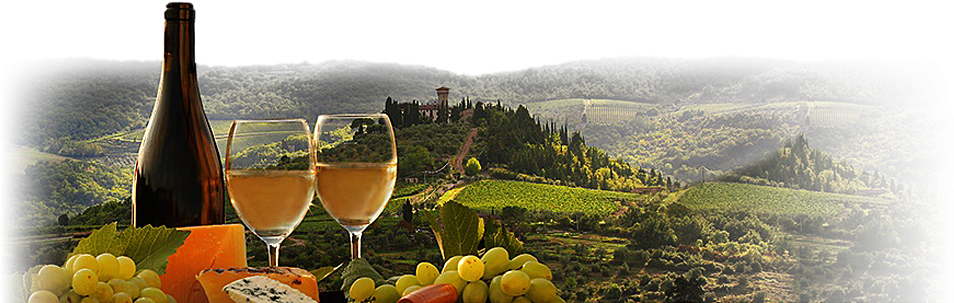 South American Wine Tasting - Tuscany (960x463), Png Download