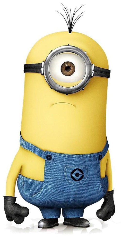 Despicable Me 574945 012 - Notebook Journal : Minion 02: Pocket Notebook Journal (1600x1000), Png Download