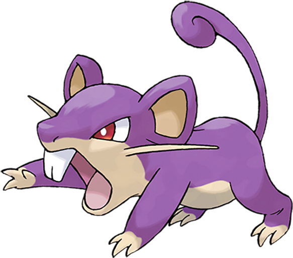 Pidgeot - Pokemon Rattata Png (640x640), Png Download