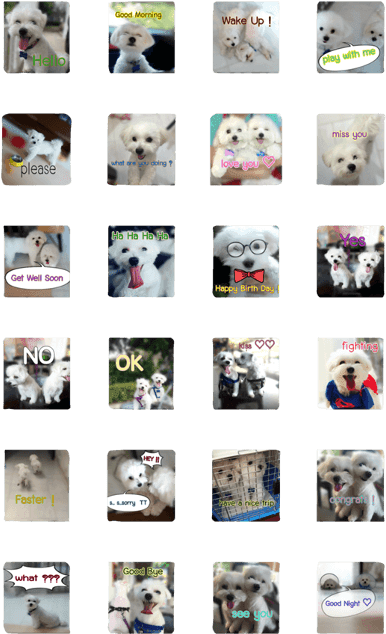 Hamster & Hamtaro - Siberian Husky (420x673), Png Download