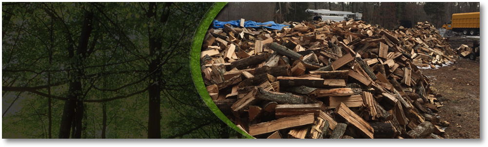 We're Here For More Than Firewood - New Jersey (1016x316), Png Download