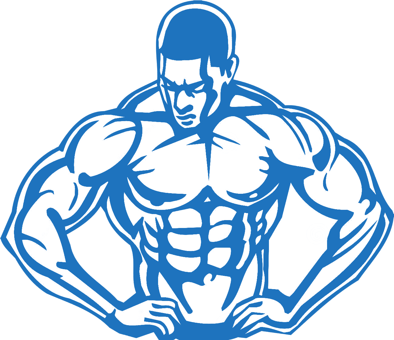 How Anabolics Steroids Work And Help You To Become - Muscle Building: Proven Ways To Get Shredded Quickly (1300x1218), Png Download