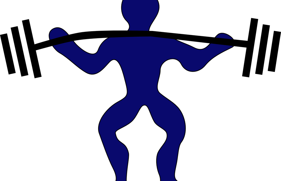 Legal Steroids- Top Brands - Camisas No Pain No Gain (960x619), Png Download