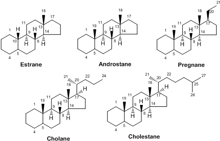 In This Section, We Have Classified Steroids Into Five - Diagram (453x295), Png Download