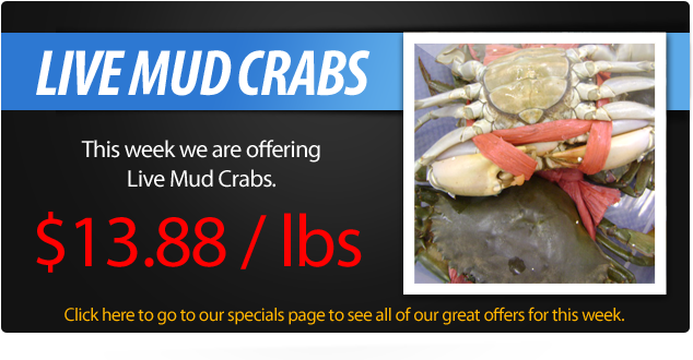 Live Mud Crabs » Live Mud Crabs - Mud Crab For Sale (650x357), Png Download