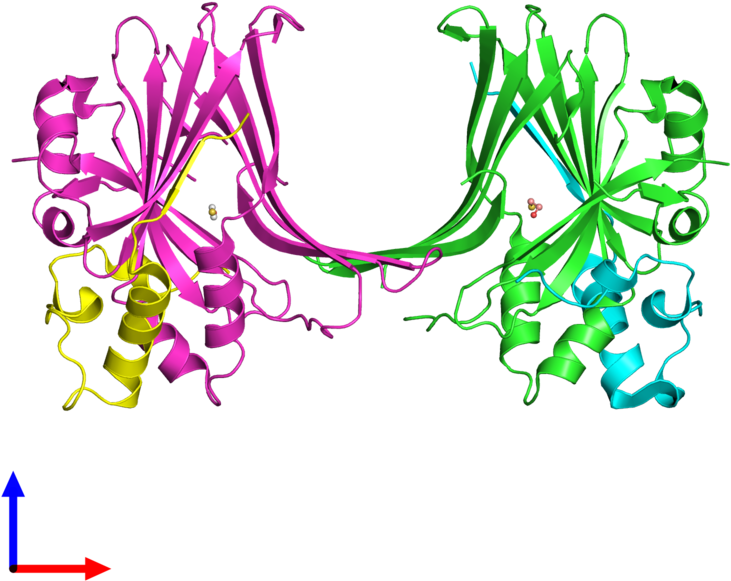 Pdb 3kys Coloured By Chain And Viewed From The Front - Graphic Design (800x800), Png Download