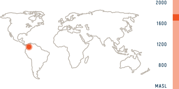 Download 49th Parallel Printable World Map Outline Pdf Png Image With No Background Pngkey Com