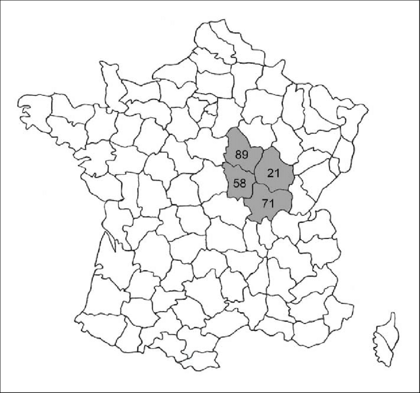 Map Of France With Limit Of All Departments - Line Art (850x796), Png Download