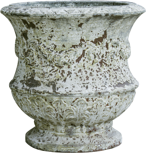Atlantis Thistle Urn (657x657), Png Download