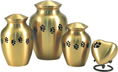 Pawprint Classic Brass Urn, Small - Urn (504x360), Png Download