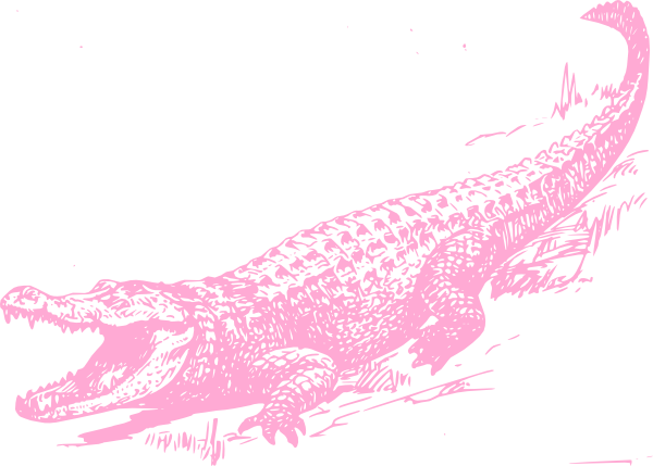 Small - Black And White Alligator (600x429), Png Download
