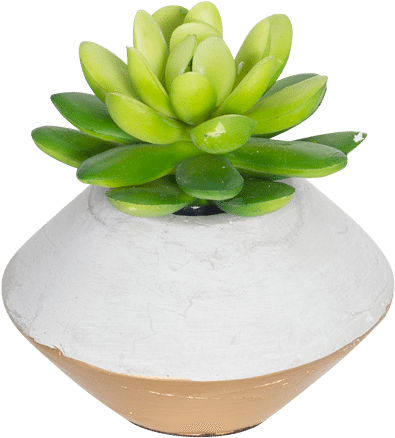 Mini Faux Succulent In Concrete Planter Gold - Succulents Transparent In Pot (500x500), Png Download