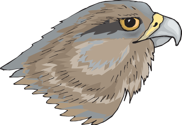 Free Hawk Clipart The Cliparts - Cabeza De Un Ave (600x415), Png Download