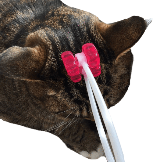 Cat Face Massager - Massage (530x530), Png Download