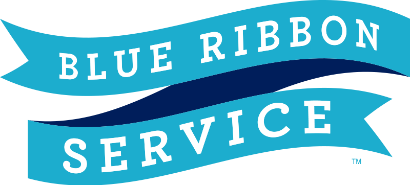 Blue Ribbon Service Launched With The Goal Of Creating - Ribbon (800x362), Png Download