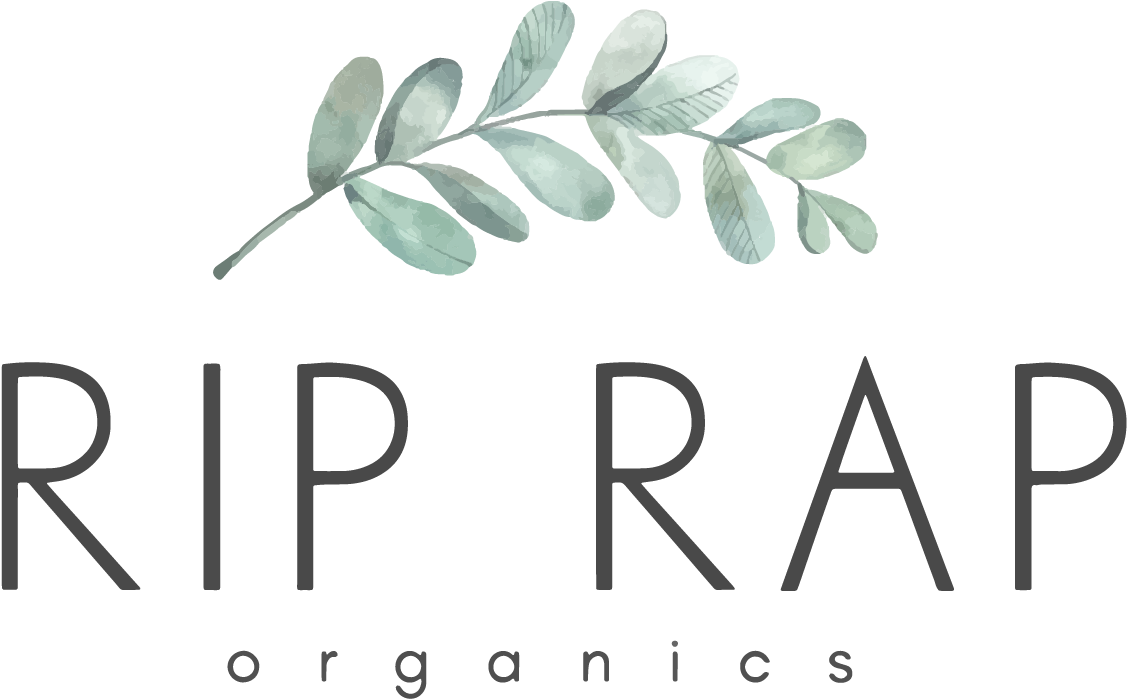 Kit 4 Quadros De Folhagens, Madeira Com Vidro, 24 X (1500x1500), Png Download