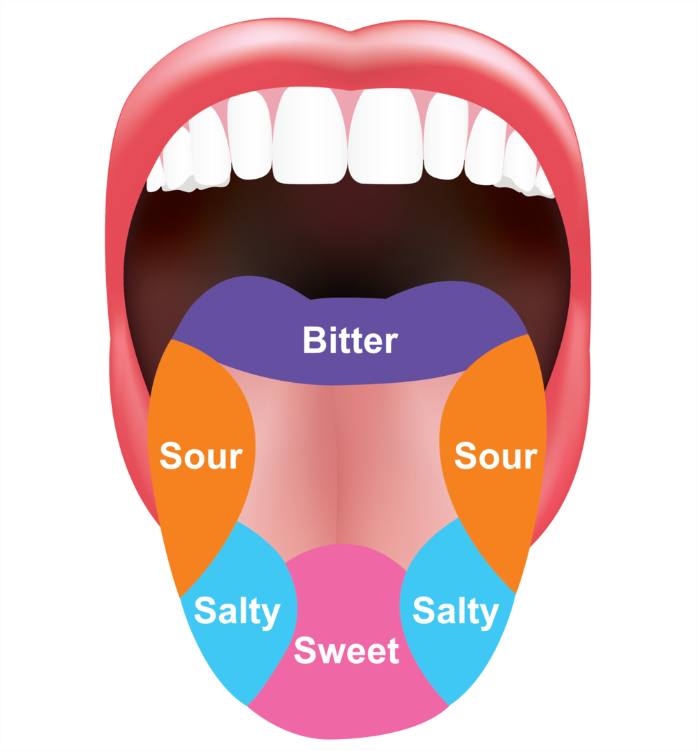 H2 Tongue - Tongue Graphic (1000x1075), Png Download