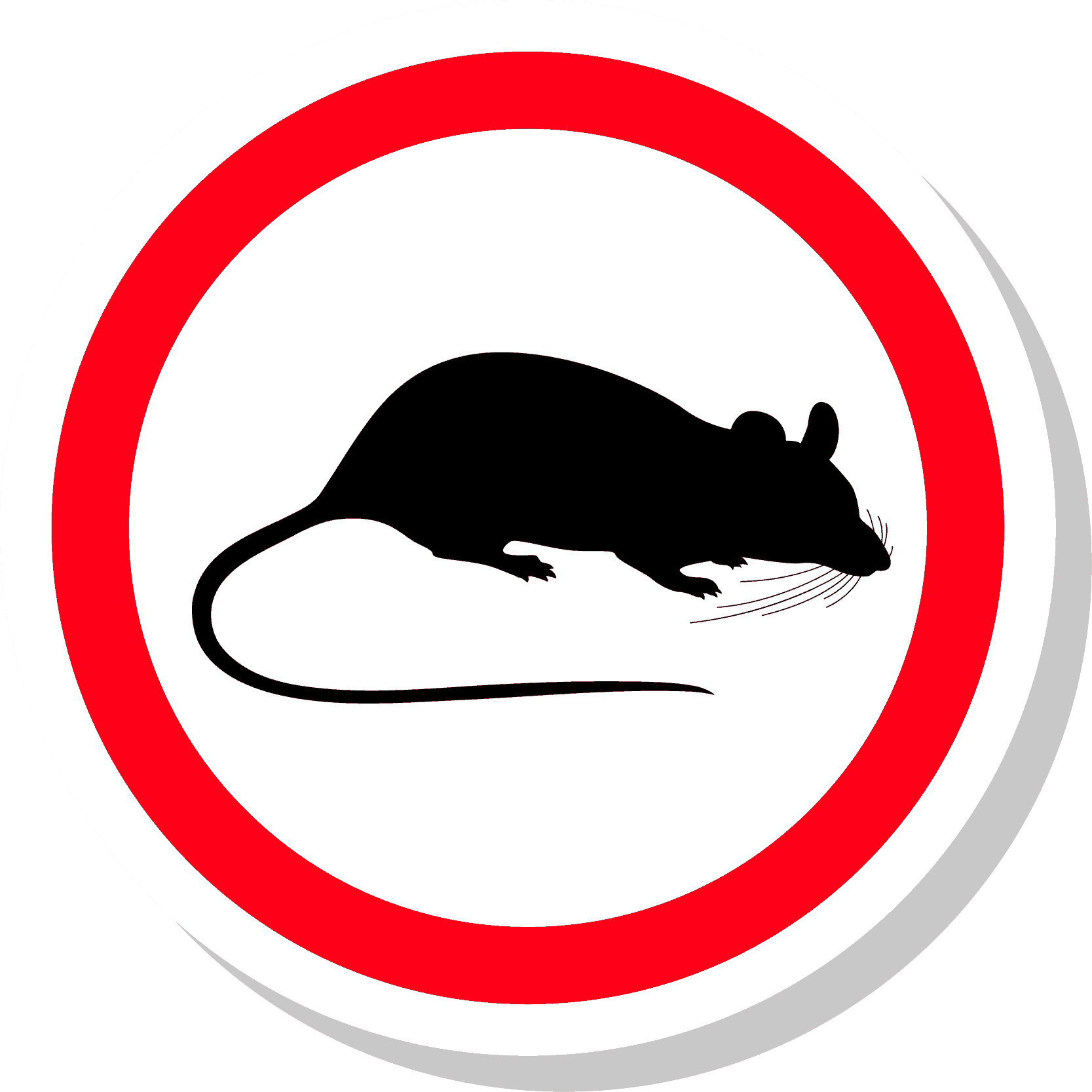 Rats And Mice - Rat (1667x1667), Png Download