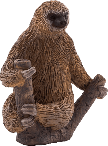 Did - Animal Planet - Two Toed Sloth (353x476), Png Download