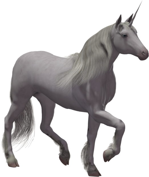 Unicorn With No Background (530x334), Png Download