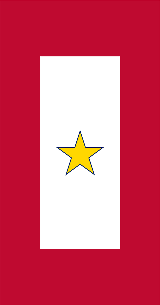 Gold Star Service Banner Filter - Flag (1200x1200), Png Download