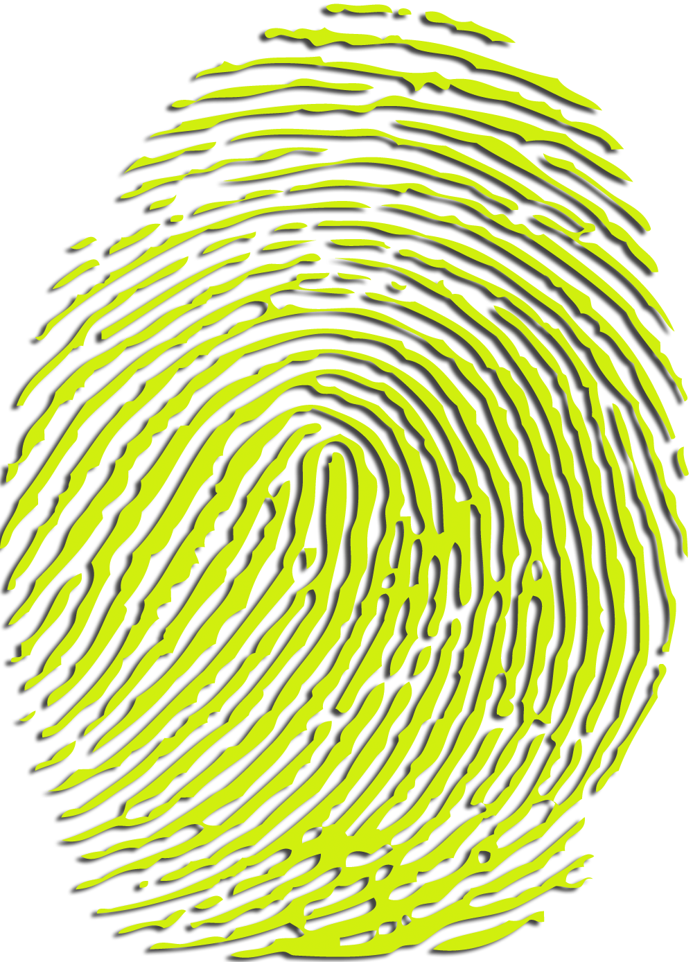 Key Specialty - Metabolomic Fingerprinting (1000x1388), Png Download