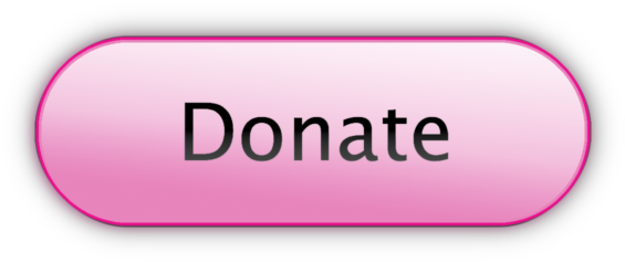 Every Dollar Raised Helps The American Cancer Society - Paypal Donate Button Pink (600x256), Png Download