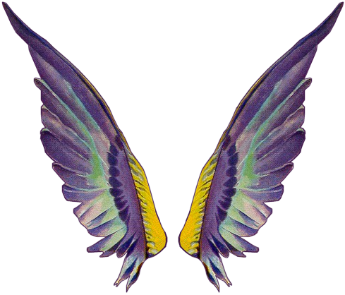 Tinkerbell Wings Png Gallery For > Fairy Wings Png - Wings (489x418), Png Download